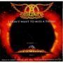 AEROSMITH I don t want to miss a thing